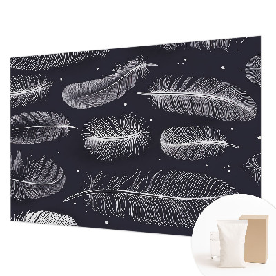 Dekorativna fototapeta Nežno perje