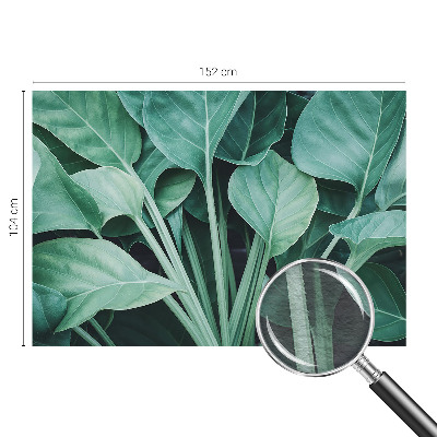 Flis fototapeta Zelena narava