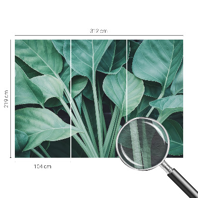 Flis fototapeta Zelena narava