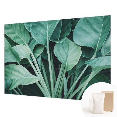 Flis fototapeta Zelena narava