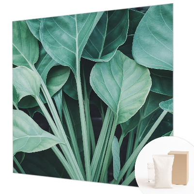 Flis fototapeta Zelena narava