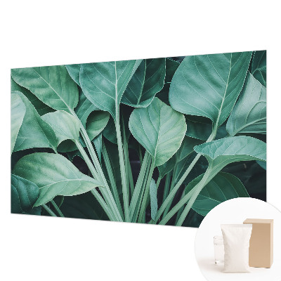 Flis fototapeta Zelena narava