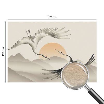 Netkana fototapeta Vzhodni žerjavi