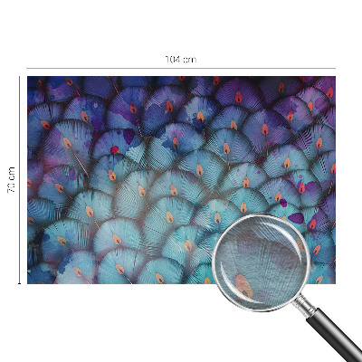 Netkana fototapeta Barvito perje