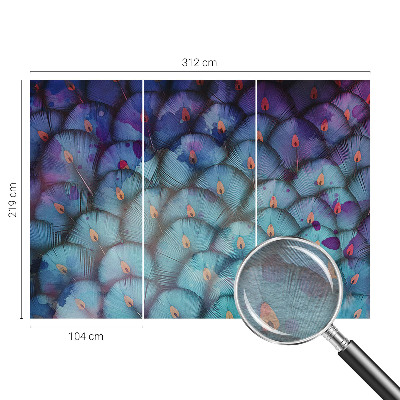 Netkana fototapeta Barvito perje