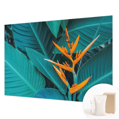 Fototapeta za steno Listnati cvetovi