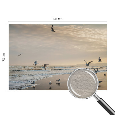 Fototapeta za dnevno sobo Mir ob morju