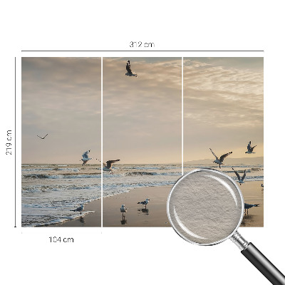 Fototapeta za dnevno sobo Mir ob morju