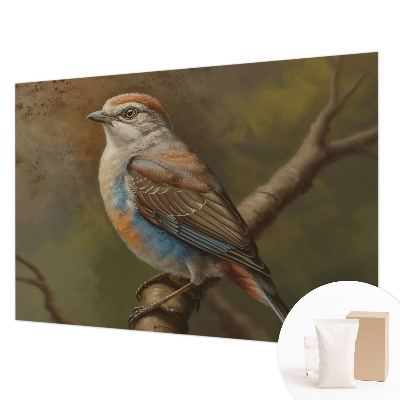 Fototapeta Portret ptice