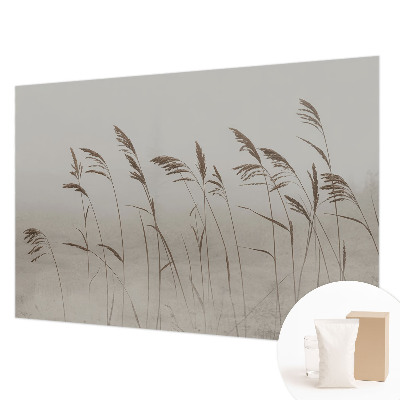 Flis fototapeta Trave v megli