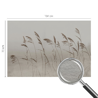 Flis fototapeta Trave v megli