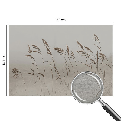 Flis fototapeta Trave v megli