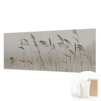 Flis fototapeta Trave v megli