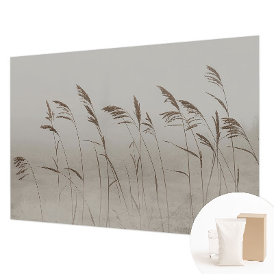 Flis fototapeta Trave v megli