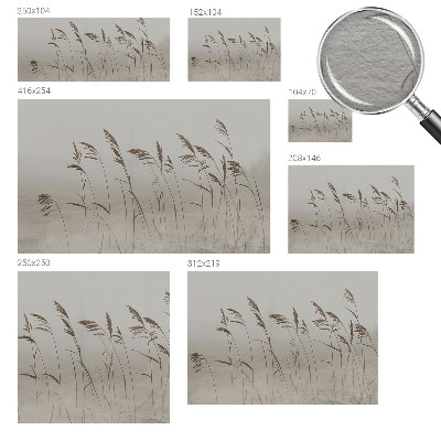 Flis fototapeta Trave v megli