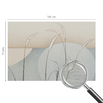 Fototapeta za steno Nežne trave