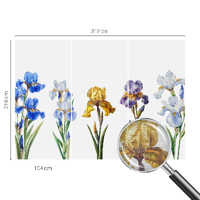 Moderna fototapeta Cvetovi perunik