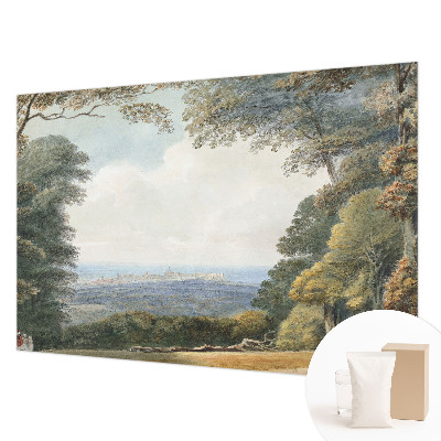 Netkana fototapeta Gozdnata pokrajina