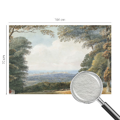 Netkana fototapeta Gozdnata pokrajina