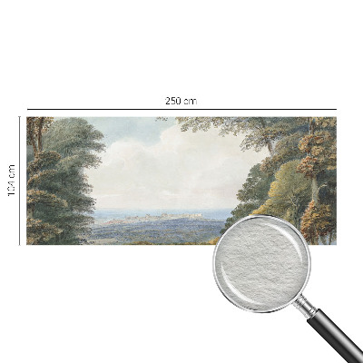 Netkana fototapeta Gozdnata pokrajina