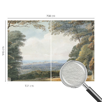 Netkana fototapeta Gozdnata pokrajina