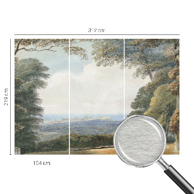 Netkana fototapeta Gozdnata pokrajina