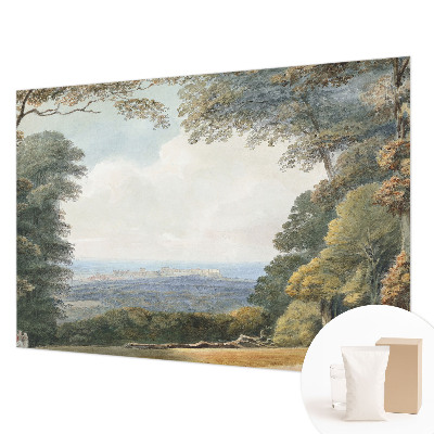 Netkana fototapeta Gozdnata pokrajina