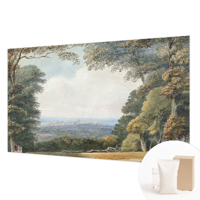 Netkana fototapeta Gozdnata pokrajina