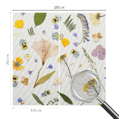 Fototapeta za dnevno sobo Pomladno cvetje