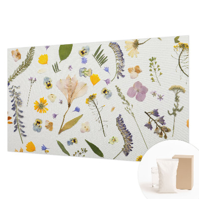 Fototapeta za dnevno sobo Pomladno cvetje