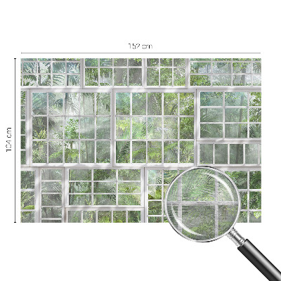 Dekorativna fototapeta Zeleni gozd