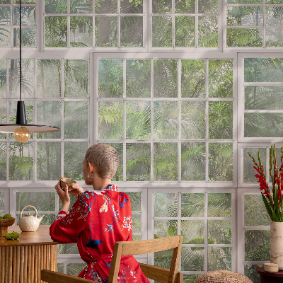 Dekorativna fototapeta Zeleni gozd