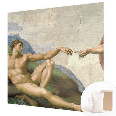 Fototapeta za steno z motivom 'Duhovni stik'