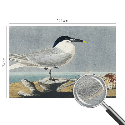 Fototapeta za spalnico z motivom ptic v elegantnem slogu