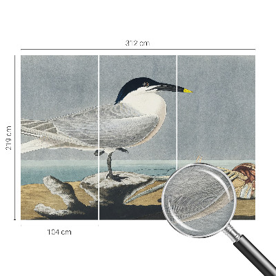 Fototapeta za spalnico Ornitološka eleganca