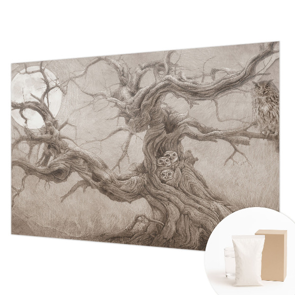 Visokokakovostna fototapeta Nočne ptice