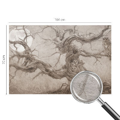 Visokokakovostna fototapeta Nočne ptice