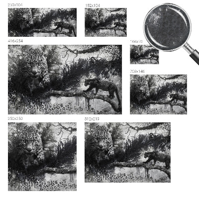 Fototapeta z abstraktnim vzorcem leopardjih motivov