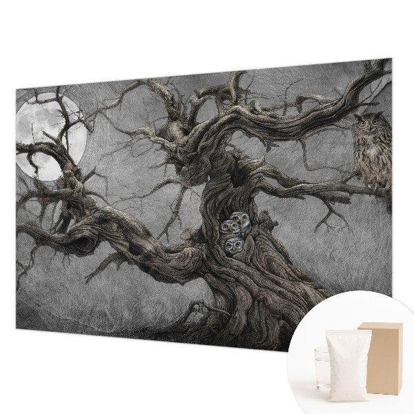 Flis fototapeta za otroško sobo z motivom skrivnostne sove