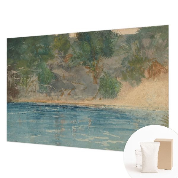Fototapeta za spalnico s tropskim obalnim motivom