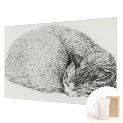 Dekorativna fototapeta Zvita mačka