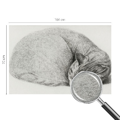 Dekorativna fototapeta z motivom zvite mačke