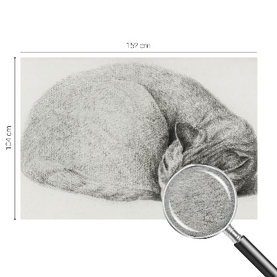 Dekorativna fototapeta Zvita mačka