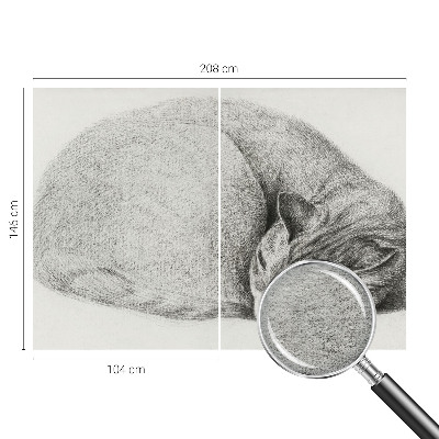 Dekorativna fototapeta Zvita mačka