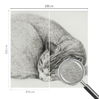 Dekorativna fototapeta Zvita mačka