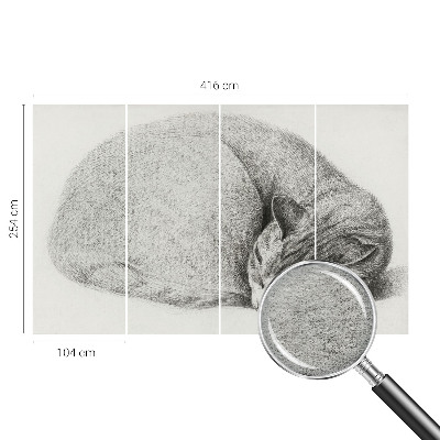 Dekorativna fototapeta Zvita mačka