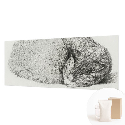 Dekorativna fototapeta Zvita mačka