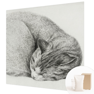 Dekorativna fototapeta Zvita mačka