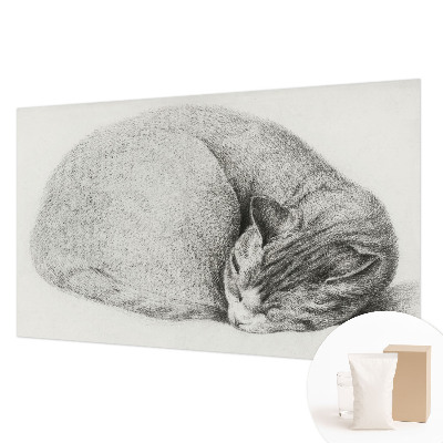 Dekorativna fototapeta Zvita mačka