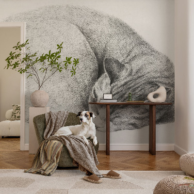 Dekorativna fototapeta Zvita mačka